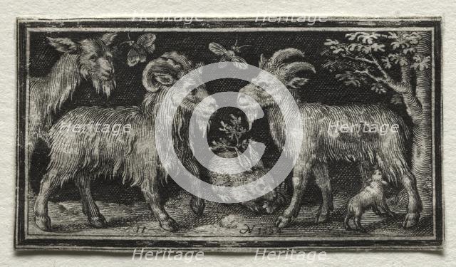 Goats and Hare, 1594. Creator: Nicolaes de Bruyn (Netherlandish, 1571-1656); A. van Londerseel.