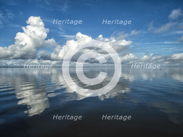 Bluebird Morning. Creator: Eve Turek.