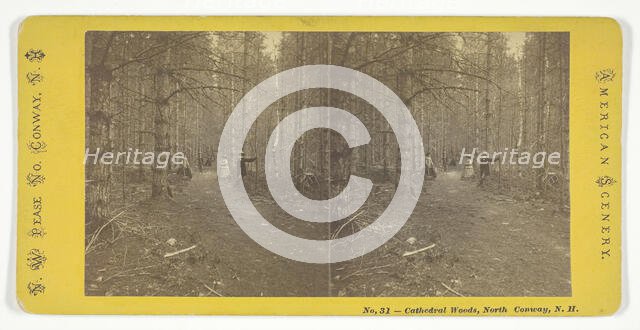 Cathedral Woods, North Conway, N.H., Mid 19th century. Creator: N.W. Pease.