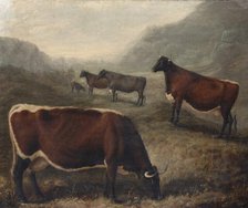 Five Glamorgan Cattle, 1835. Creator: William Shiels.