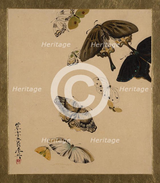 Lacquer Paintings of Various Subjects: Butterflies, dated 1881. Creator: Shibata Zeshin.