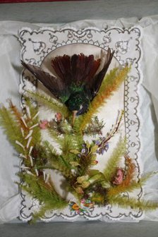 Hummingbird Valentine, 1845/1869. Creator: Jonathan King.
