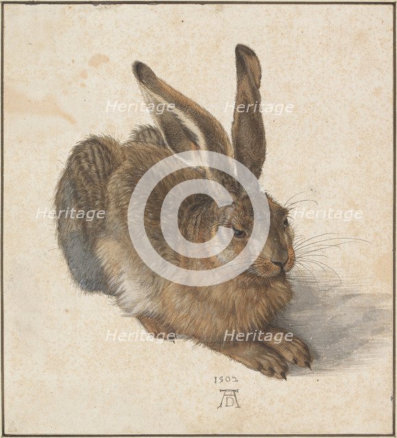 Hare, 1502. Artist: Dürer, Albrecht (1471-1528)