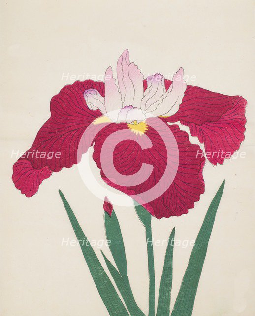 Yamamatayama, No. 83, 1890, (colour woodblock print)