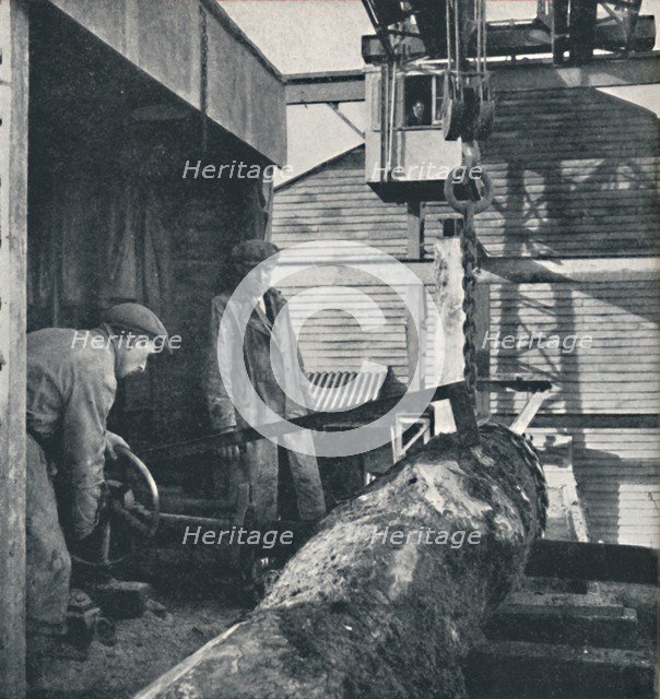 'Sawing timber', 1941. Artist: Cecil Beaton.