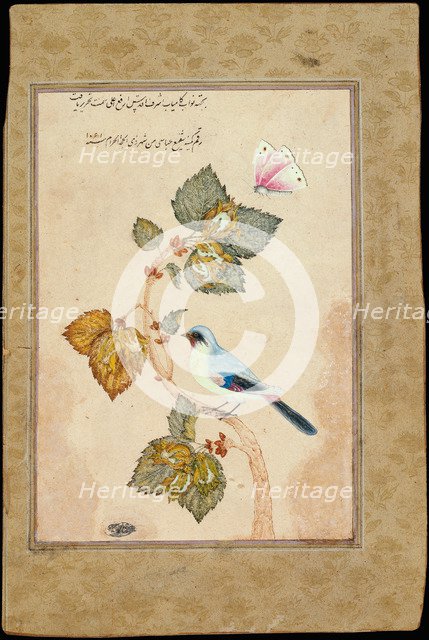 A Bird on a Hazel Branch. Artist: Shafi Abbasi, Muhammad (1628-c. 1674)