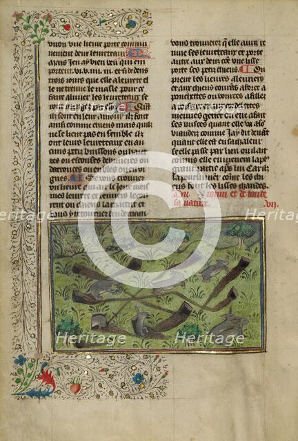 Rabbits; Livre de la Chasse, about 1430-1440. Creator: Unknown.
