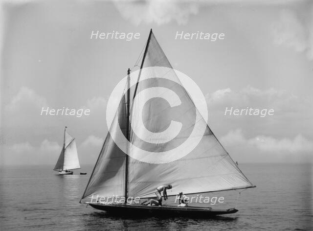 Momo, c1897. Creator: John S Johnston.