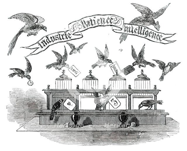 Industrie, Patience, Intelligence - birds trained by Emilie Vandermeersch, 1850. Creator: Unknown.