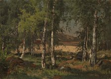 Landscape with Birch Grove and Rye Field, 1876. Creator: Hjalmar Munsterhjelm.