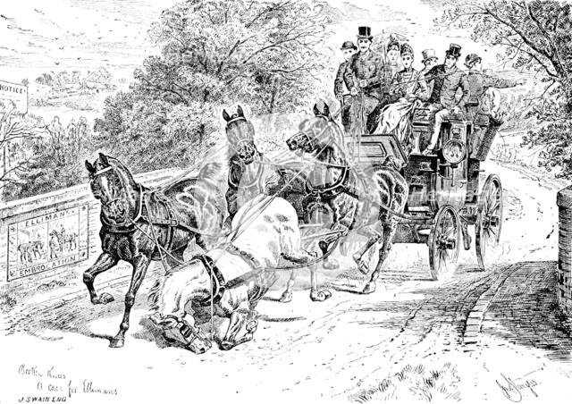 Advertisement for Elliman’s Universal Embrocation, 1890. Creators: William Stanfield Sturgess, Joseph Swain.