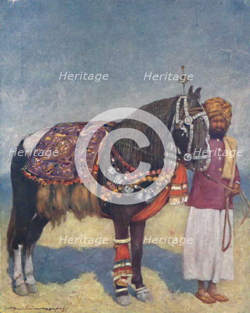 'A Horse from Jodhpur', 1903. Artist: Mortimer L Menpes.