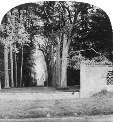 The Avenue, Guy's Cliff, Warwick, early 20th century. Artist: Unknown