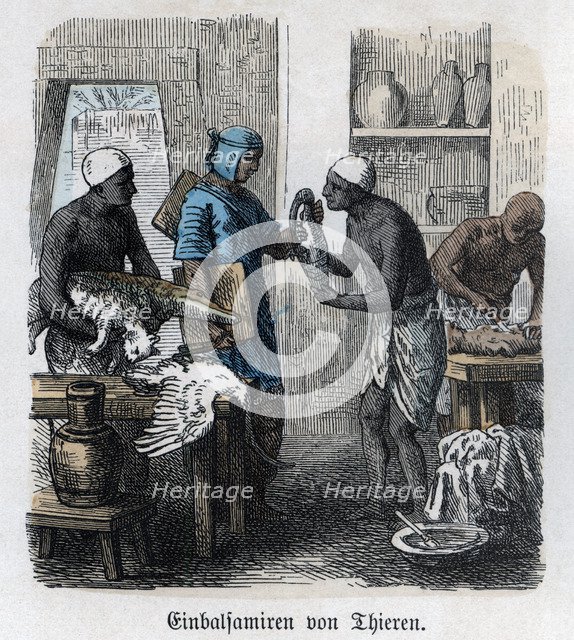 Ancient History. Egypt. Embalming of animals. German engraving, 1865.