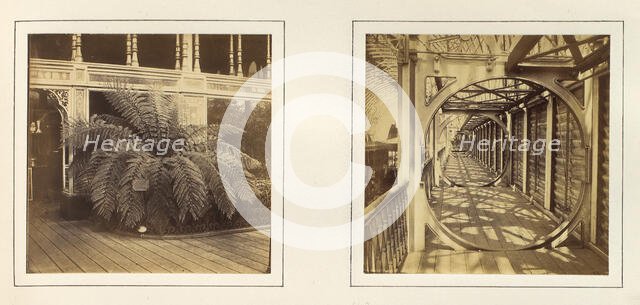 [View of Large Plant with Sign Requesting Viewers Not to Touch; Telescope Gallery], ca. 1859. Creator: Attributed to Philip Henry Delamotte.