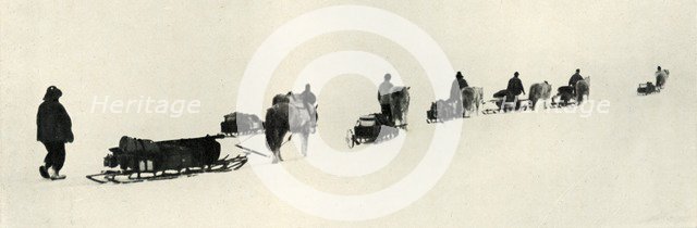 'Ponies on the March', 1911, (1913). Artist: Herbert Ponting.