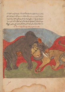 The Lion and the Elephant Fighting, Folio from a Kalila wa Dimna, 18th century. Creator: Unknown.