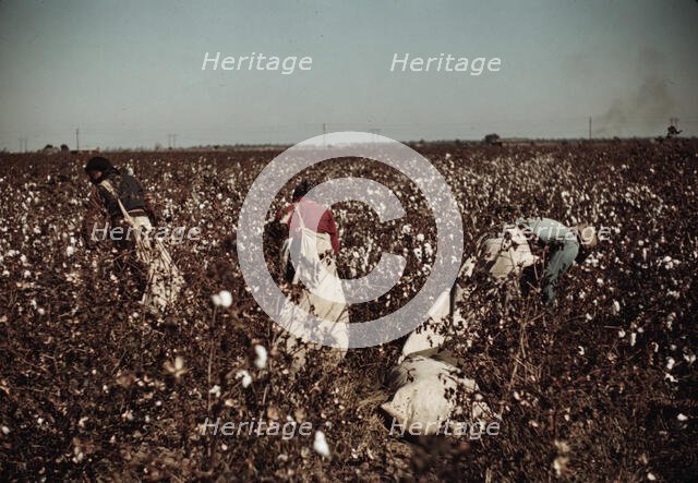 Day-laborers picking cotton near Clarksdale, Miss., 1940. Creator: Marion Post Wolcott.