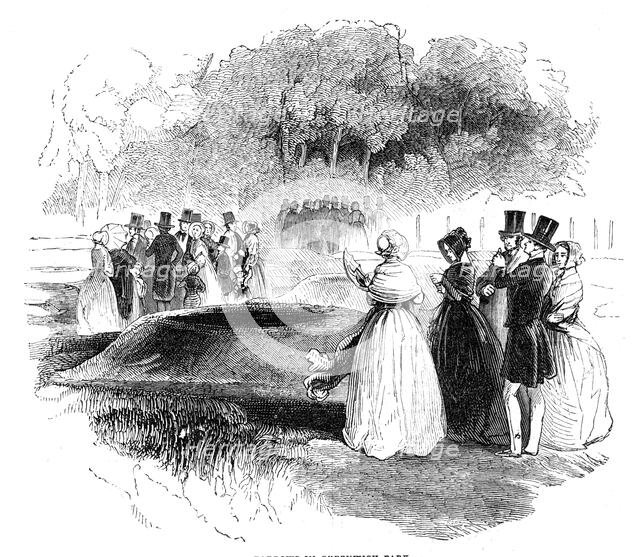 Barrows in Greenwich Park, 1844. Creator: Unknown.