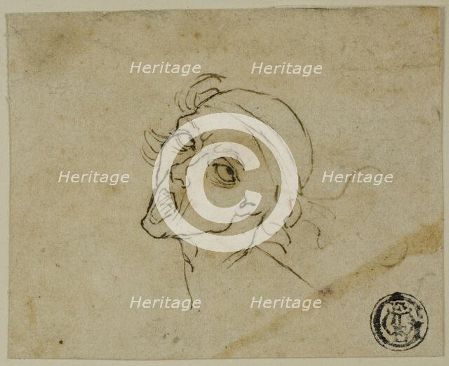 Male Head, n.d. Creator: Unknown.