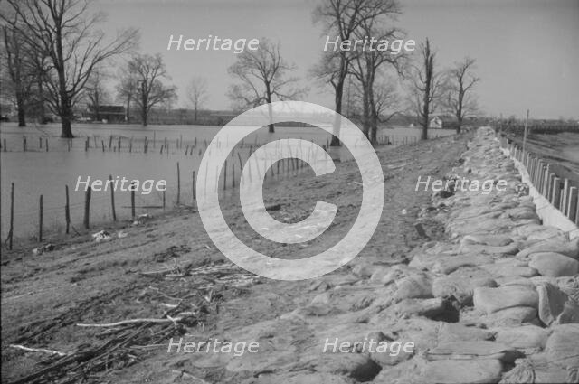 The Bessie Levee augmented with sand bags during the 1937 flood, Near Tiptonville, Tennessee, 1937. Creator: Walker Evans.