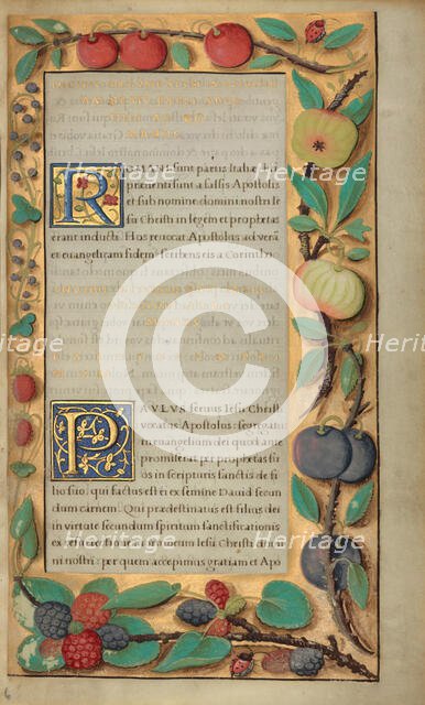 Decorated Text Page; Getty Epistles, about 1528-1530. Creator: Unknown.