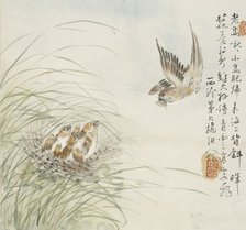 A bird carrying food in its mouth, 1857. Artist: Jin Yuan.