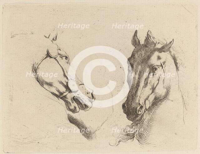 Head of a Horse Seen in Profile and in Three-Quarters. Creator: Stefano della Bella.