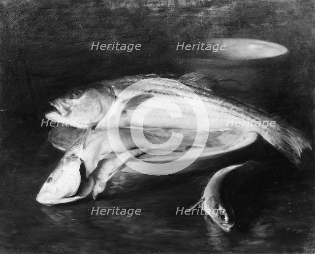 Fish, by 1910. Creator: William Merritt Chase.