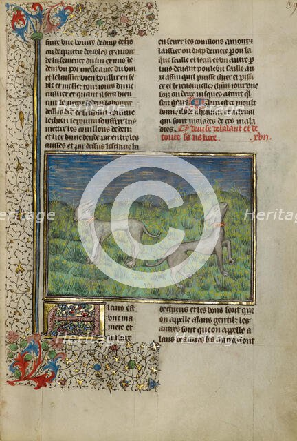 Hunting Dogs; Livre de la Chasse, about 1430-1440. Creator: Unknown.