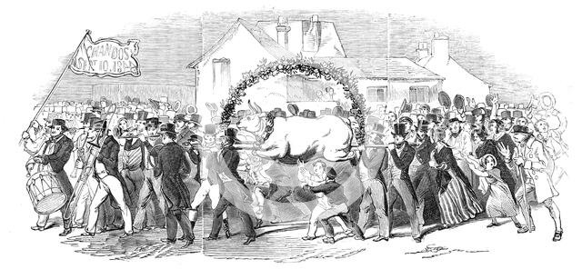 Procession of the ox, at Buckingham, 1844. Creator: Unknown.