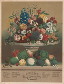 Flowers and Vegetables, 1800s. Creator: Anton Carl Rahn (American, born Germany, 1842-1907).