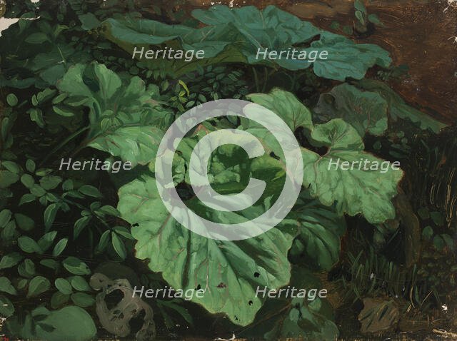 Papers, exercise, 1835-1853. Creator: Nils Jakob Blommer.