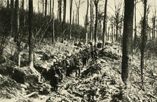 'Canadian Infantry in a Wood at the Front', First World War, 1915-1916, (c1920). Creator: Unknown.