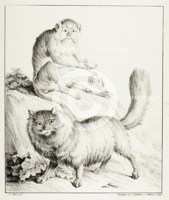 Cat and Monkey, 1814/16. Creator: Godefroy Engelmann.