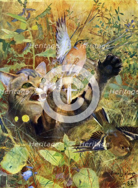 'A Cat and a Chaffinch', 1885 (1945).  Artist: Bruno Liljefors