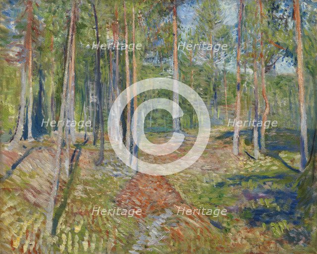 Pine Forest, 1891-1892. Artist: Munch, Edvard (1863-1944)