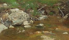 Mountain Brook: A Study, between c1863 and 1869. Creator: Alexander Helwig Wyant.