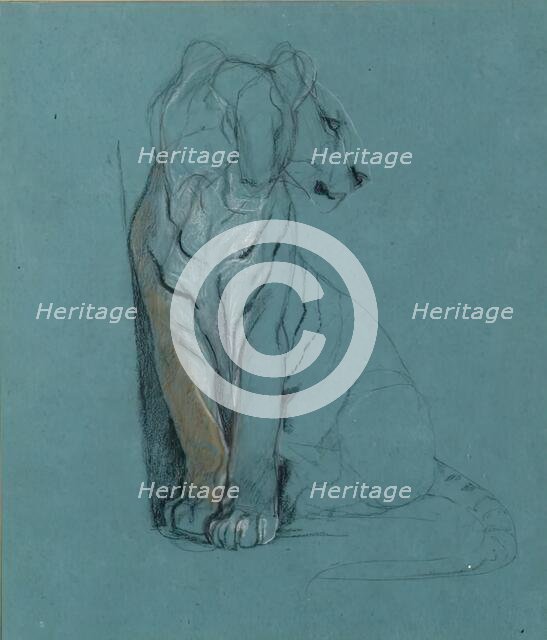 A Seated Tiger, 1900-1910. Creator: John MacAllan Swan.