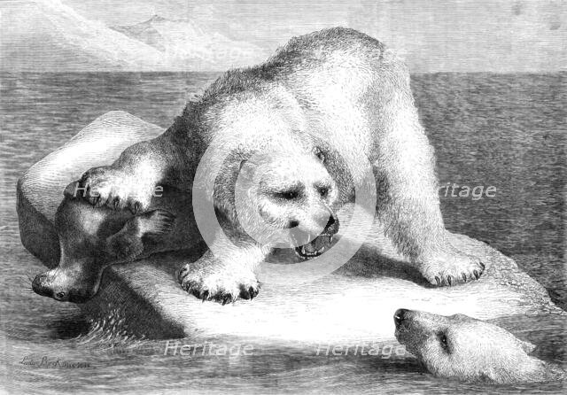 A Disputed Claim, 1881. Creator: Ludwig Beckmann.