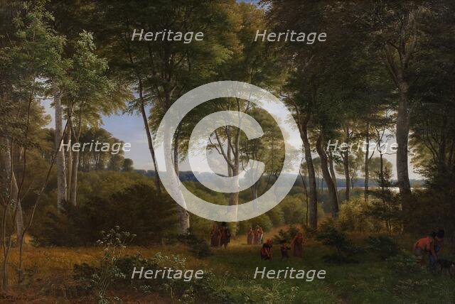 Delhoved Wood near Lake Skarre, Zealand - Afternoon Light, 1847. Creator: Peter Christian Thamsen Skovgaard.