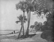'Indian River, Florida', c1897. Creator: Unknown.