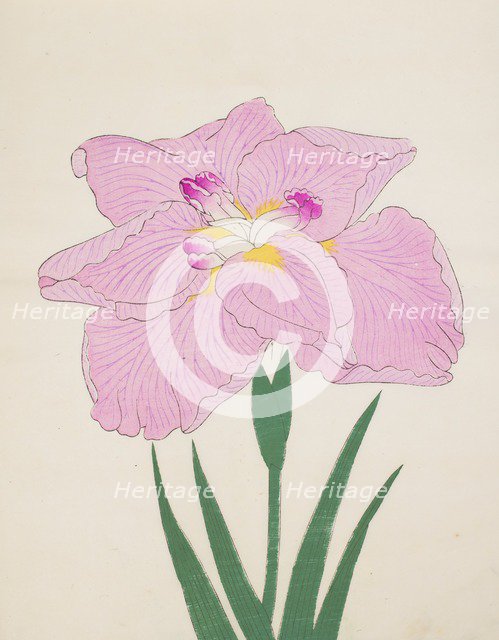 Shu-Fu-Raku, No. 58, 1890, (colour woodblock print)