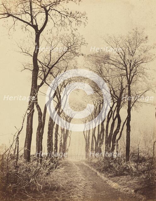 Road and Trees with Hoarfrost, 1860. Creator: Eugène Cuvelier.
