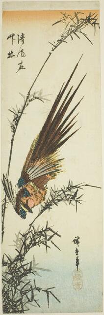 Pheasant and bamboo, 1840s. Creator: Ando Hiroshige.