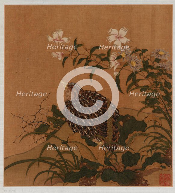 Quail and flowers, Qing dynasty, 18th century. Creator: Unknown.