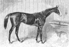 Blair Athol, the Winner of the Derby, 1864. Creator: Unknown.