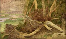 Wooded Landscape with Bridge, ca. 1860-1870. Creator: Unknown.