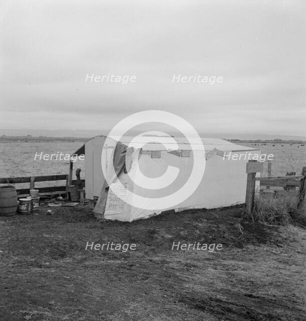 Outside of potato pickers' camp, across from the..., Tulelake, Siskiyou County, California, 1939. Creator: Dorothea Lange.