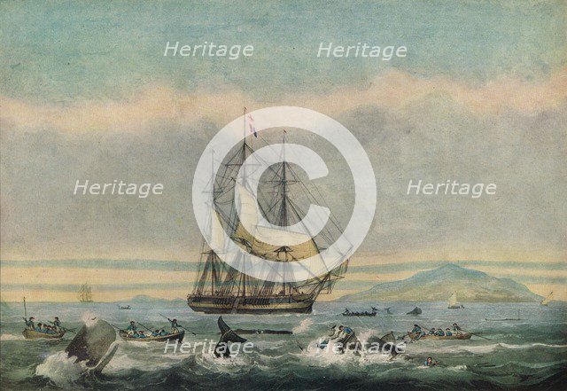 'South Sea Whale Fishery', 1825. Artist: Thomas Sutherland.